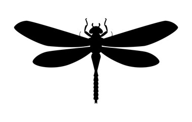 dragonfly silhouette