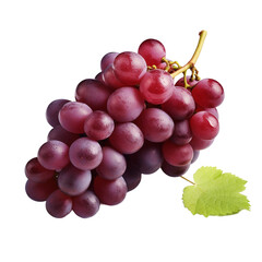 Zinfandel grape isolated on transparent background