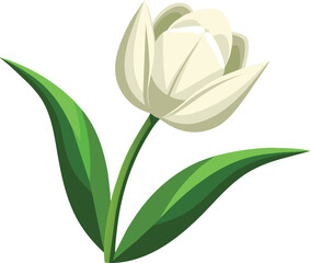 a-beautiful-tulip-vector -white-background .eps