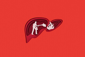 Paper man with extinguisher fighting fire in human liver