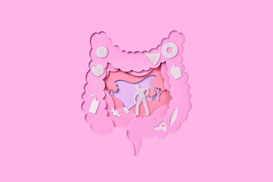 Papercraft cleaner sweeping fast food in digestive system