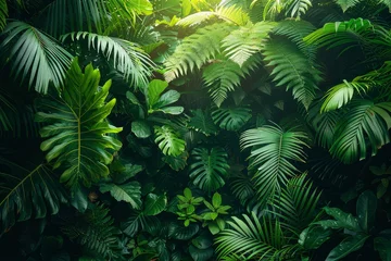 Foto op Plexiglas photo of jungle of palm trees  © H_designs