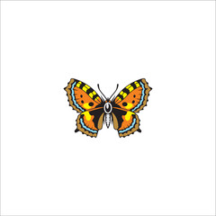 Beautiful butterfly vector on white background 