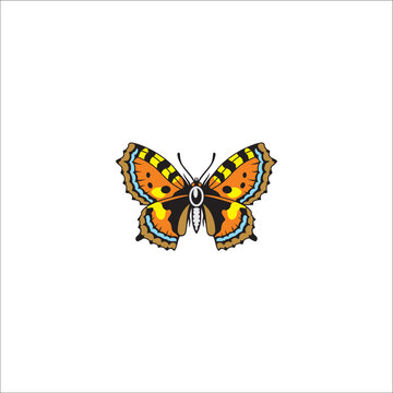 Beautiful butterfly vector on white background 
