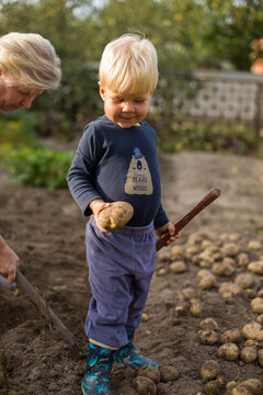 major woman with grandson drip potatoes  