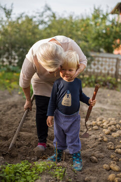 major woman with grandson drip potatoes  