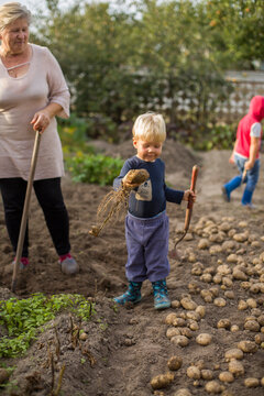 major woman with grandson drip potatoes  