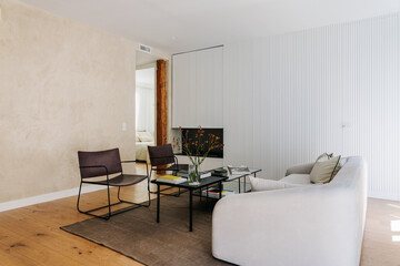 Modern stylish living room