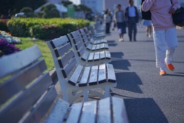 bench in the park