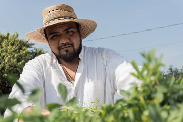 Daylight agricultural worker portrait