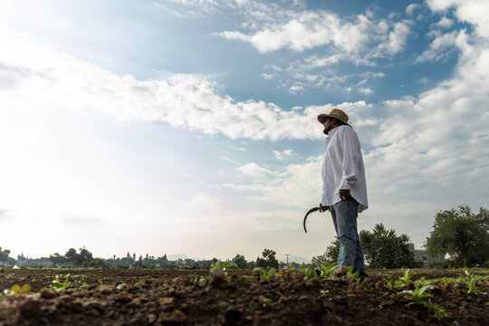 Hard worker with blade in field