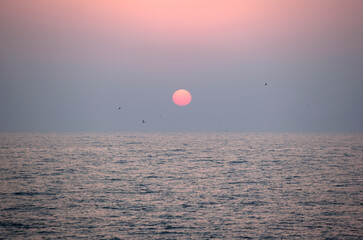 View of the sunset with flying seagulls
