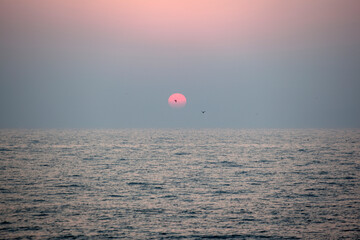 View of the sunset with flying seagulls