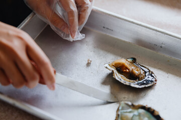 Pearl Harvesting Process