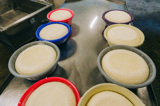 Freshly made cheese on cheese factory 