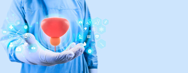 Study and analysis of the prostate. Concept of technological development in urology. The Doctor...