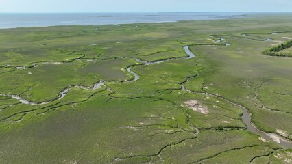 History Ricefield remains cultivated by black african slave labor on Southern Plantations prior to the Civil War in South Carolina by the Black river near Gerogetown