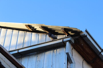 a picture of a bird at the ceiling