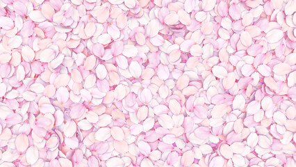 Spring pink sakura cherry blossom petals abstract background.