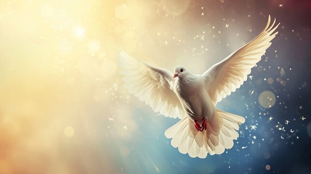 A white dove on bright light shines from heaven background. Symbol of love and peace descends from sky. image of animal.