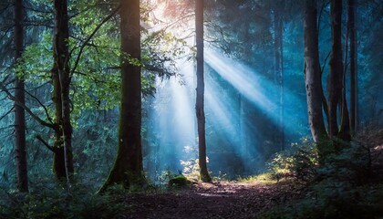 Mystical Forest with beaming light through the trees