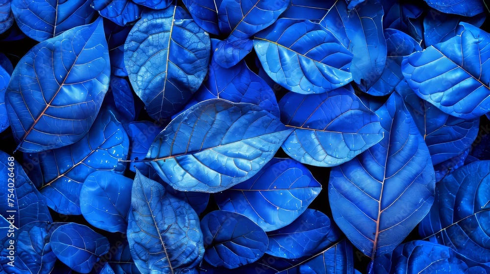 Poster blue tree leaf skeleton texture background with shining light creating a mesmerizing pattern.