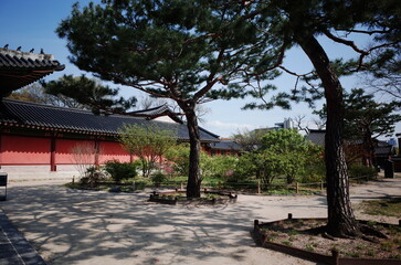 Fototapeta premium Changgyeonggung Palace in Spring, Spring in Seoul, traditional places in Seoul