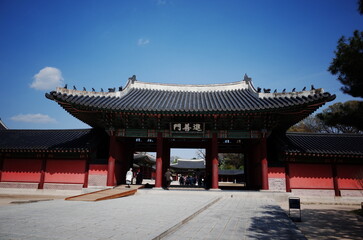Obraz premium Changgyeonggung Palace in Spring, Spring in Seoul, traditional places in Seoul