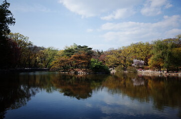 Fototapeta na wymiar Changgyeonggung Palace in Spring, Spring in Seoul, traditional places in Seoul
