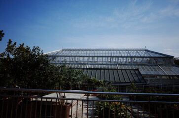 Obraz premium Changgyeonggung Palace in Spring, Spring in Seoul, traditional places in Seoul