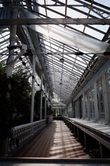 Changgyeonggung Palace in Spring, Spring in Seoul, traditional places in Seoul