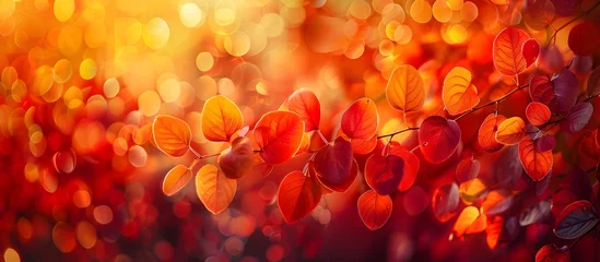 Schilderijen op glas Autumn Leaves Bokeh Background by Nikon Z9, To provide a beautiful and tranquil autumn background for wall decor, desktop backgrounds, or marketing © Sittichok