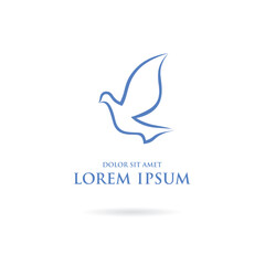 vector design of a white dove