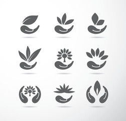Fototapeta premium Eco logo vector green leaf template design