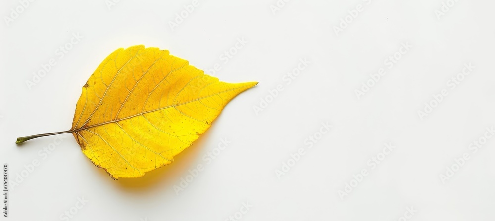 Poster elegant and minimalist white abstract background with autumn vibes and artistic flair
