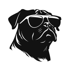 Pug dog. Head of an pug. Pets for design. Vector graphics to design.