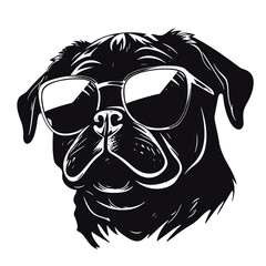 Pug dog. Head of an pug. Pets for design. Vector graphics to design.