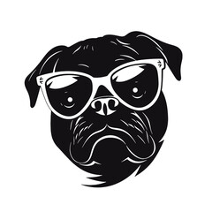 Pug dog. Head of an pug. Pets for design. Vector graphics to design.