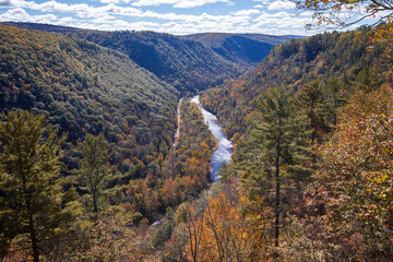 Fall foliage colors at Leonard Harrison State Park. Pine Creek Gorge, the Grand Canyon of Pennsylvania.