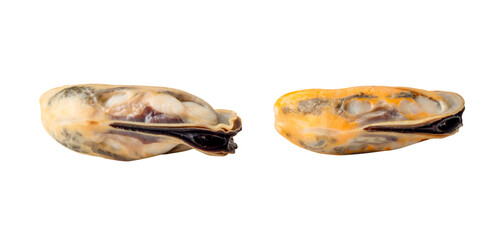 Front view or side view of steamed or cooked mussels without shell isolated with clipping path in png file format