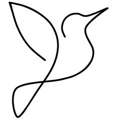 bird