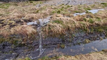 bog is full of water in spring after the snow melts. a layer of black peat soil can be seen flowing over the edge, which is used in the cosmetic industry and medicine. it used to heat up, glacial - Powered by Adobe
