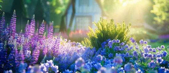 Foto op Plexiglas flowers blossom in the home garden spring background © oswasa