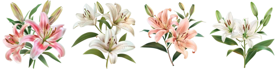 Foto op Canvas Elegant blooming lilies with buds  Hyperrealistic Highly Detailed Isolated On Transparent Background Png File © Wander Taste