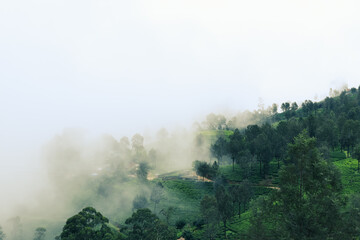 Mystic adventures. Hill country of island nation Sri Lanka