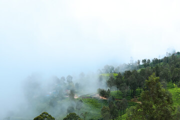 Mystic adventures. Hill country of island nation Sri Lanka