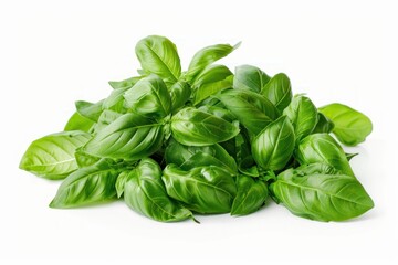 A bunch of green leaves of basil are piled on top of each other. The leaves are fresh and vibrant, and they give off a sense of health and vitality