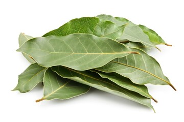 A bunch of bay leaves. The leaves are green and have a slightly fuzzy texture