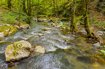 rapids and rocks of Çağlayan creek in the mountains near Termal (Yalova, Turkey)