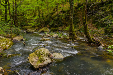 Naklejka na ściany i meble rapids and rocks of Çağlayan creek in the mountains near Termal (Yalova, Turkey)